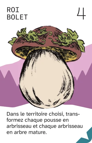 Roi Bolet, 4 : dans le territoire choisi, transformez chaque pousse en arbrisseau et chaque arbrisseau en arbre mature.
